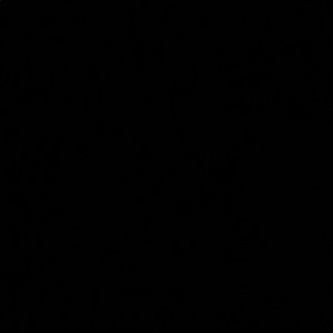 Meet your Posher, Evelyn